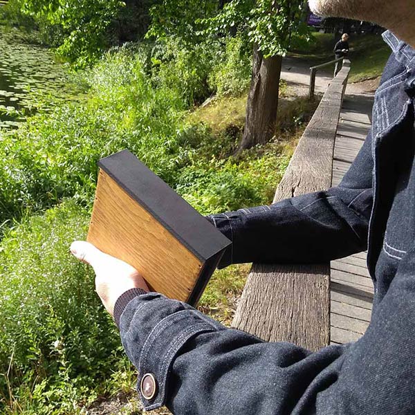 A man hoding the pochade box and looking at a beautiful view of nature